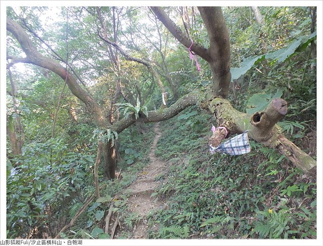 橫科山白匏湖 (147).JPG - 橫科山、白匏湖