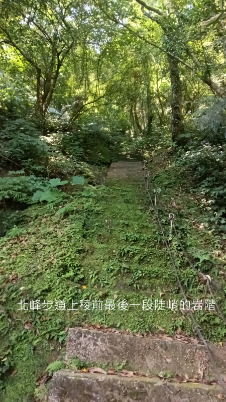 8d8e9418434505ff9fcae2af10546465.png