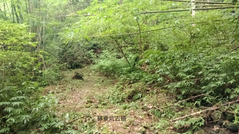 8dc400b042a4c8e272ea20ae1e509d5b.png