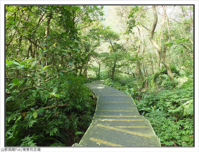 荖寮坑古道 (29).jpg - 荖寮坑古道