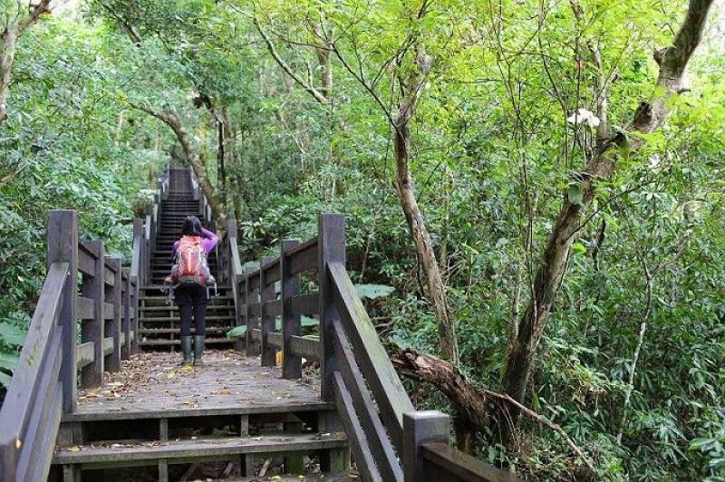 帽子山步道