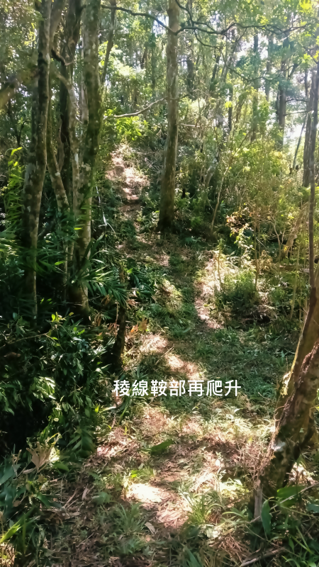 8e3f48d2253a86fc358727e14e03b510.png