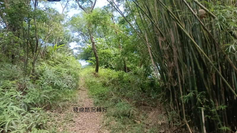 8e5f10809c161291322177daf52bffec.png