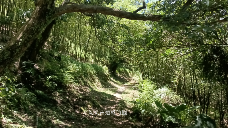8ea0743f3724dc70084ba4a7d79656de.png