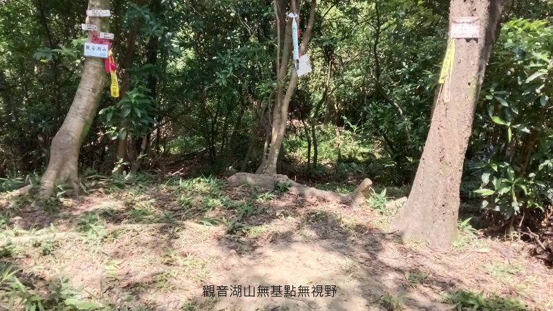 8eb6e8a96c7d46443c125582e6e86c7c.png