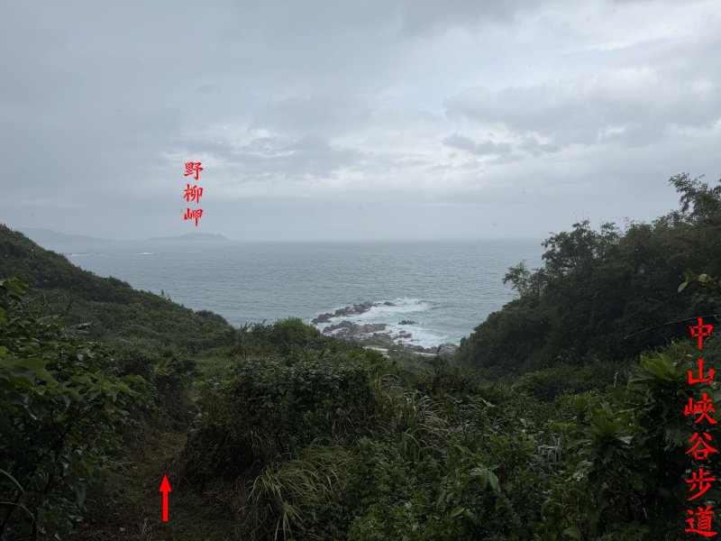 8eef6180f4a14a9b58b61b97e6cf951f.jpg