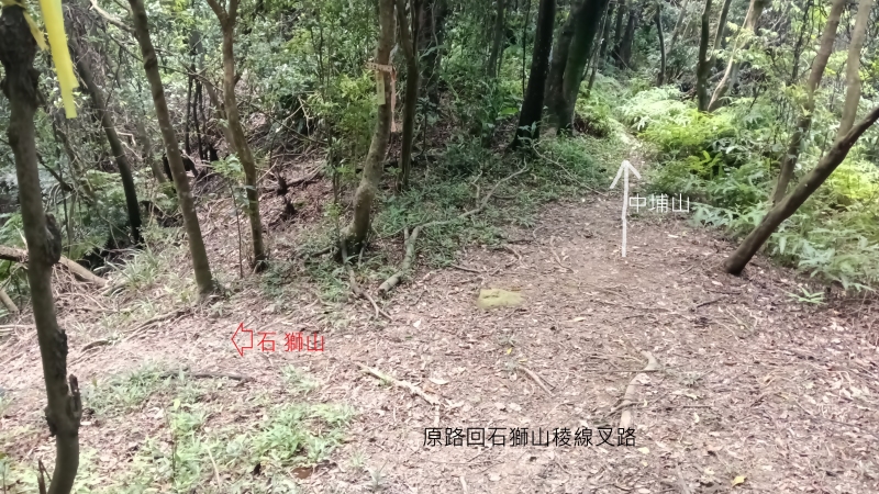 8f32404275712e48f0c18187f70f4a25.png