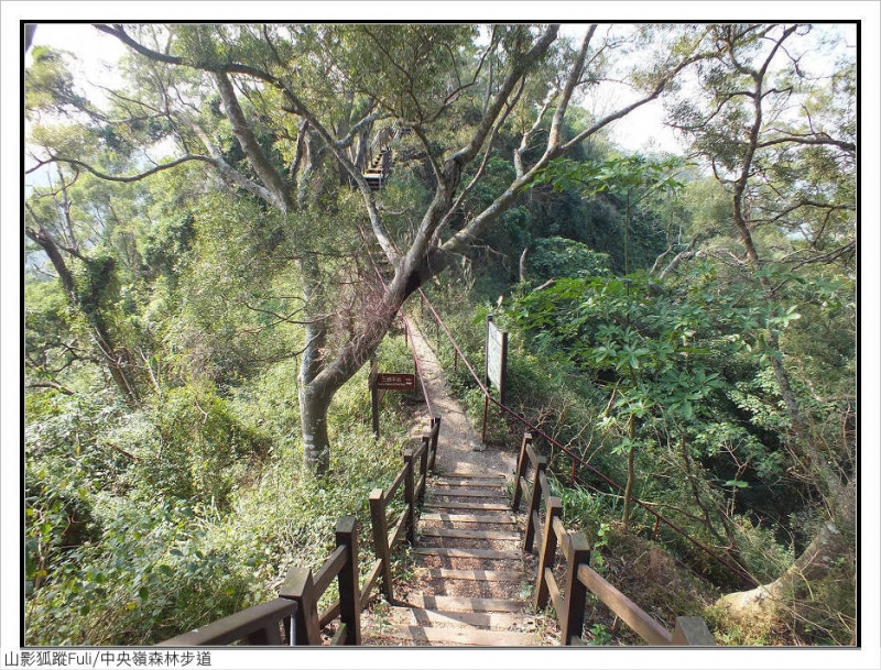 中央嶺森林步道 (54).jpg - 中央嶺森林步道