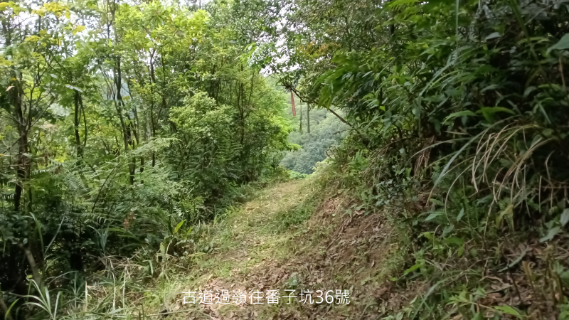 8f55b2831602d7001d322e78cb301c1a.png