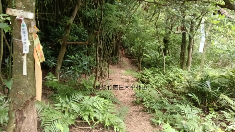 8fe062f331f7e3e83ddf89a23de1683e.png