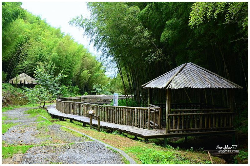 石壁木馬古道-五元二角-雲嶺之丘