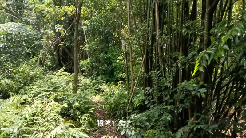 90151ba5d50ea97c5300a112ca4d9211.png
