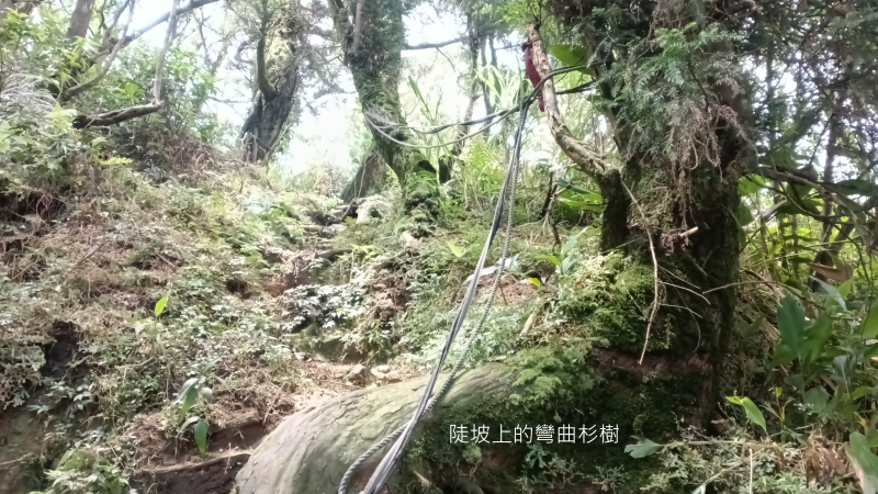 9017f1532c6b44ff3b564a6192130616.png