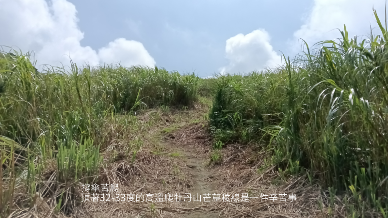 9070a5465126984efe7190e076e35b3b.png