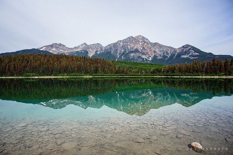 Patricia Lake