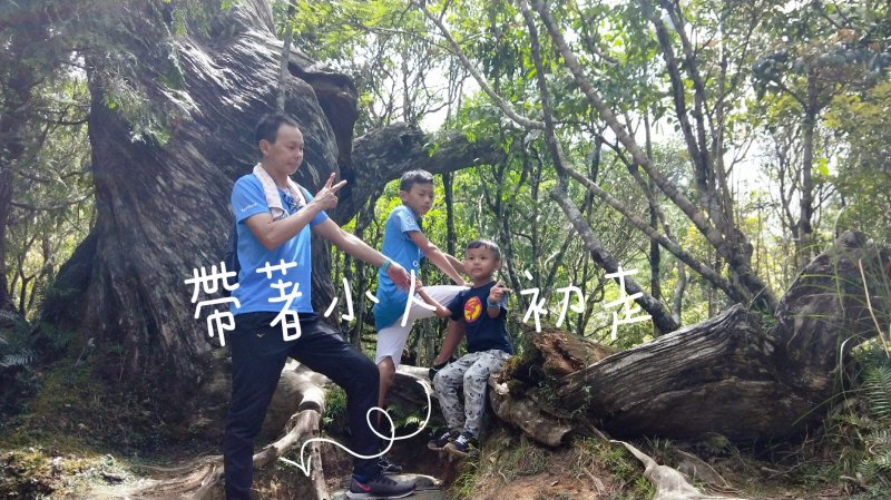 【帶著小人初走】一次蒐集三條太平山步道