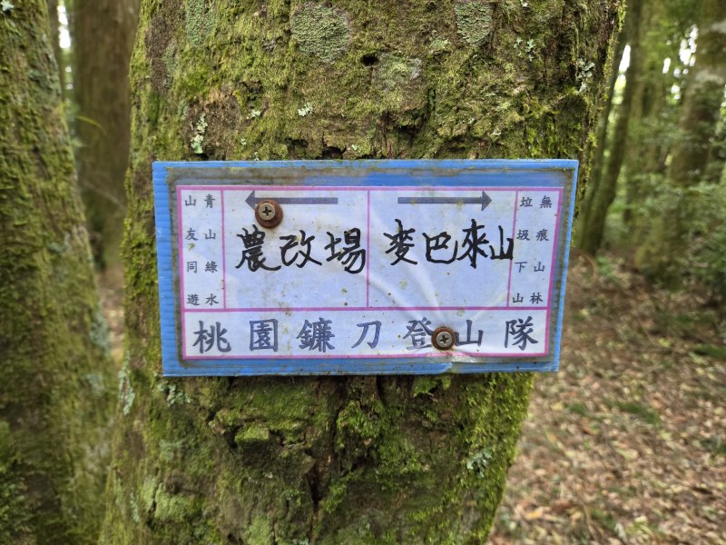 90c90dbac80ffda07b0f53366bf0d932.jpg