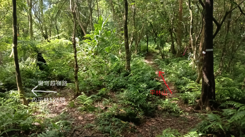 90cc6557a39f141c857a377832dc720a.png