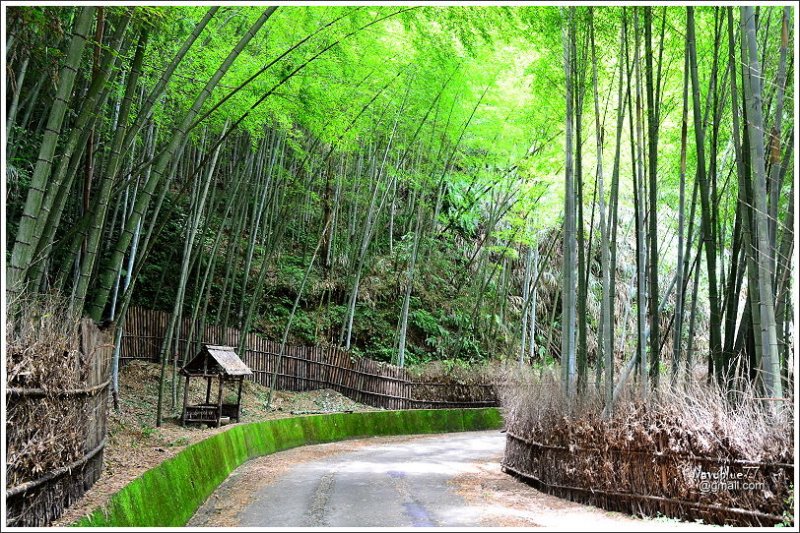 石壁木馬古道-五元二角-雲嶺之丘