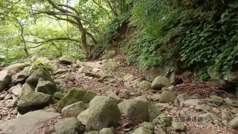 91961a94d09ab95ab10c178e9a0eff80.png