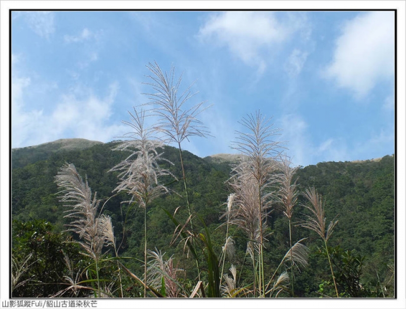 貂山古道 (10).jpg - 貂山古道