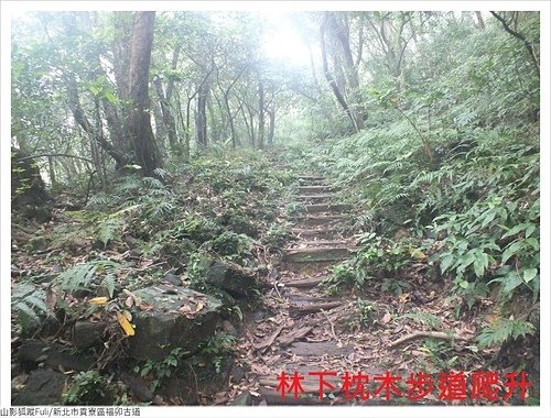 福卯古道 (33).JPG - 福卯古道