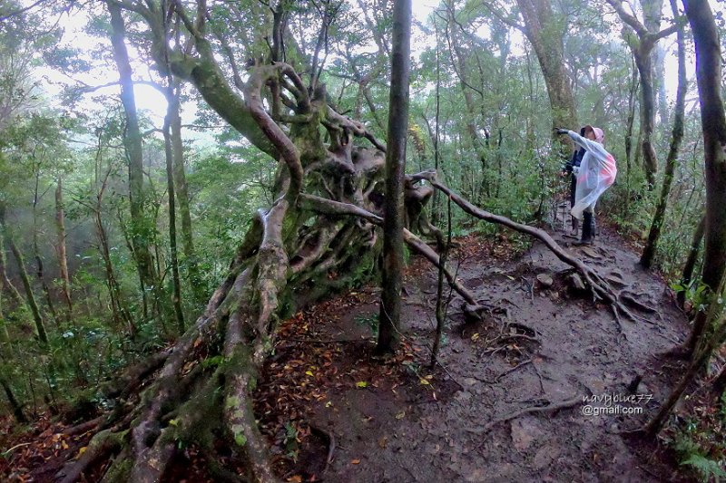 北得拉曼內鳥嘴山 (48).JPG