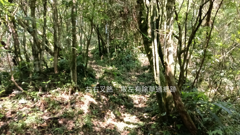 91d80d472dfd29927bdf4c84aa56205d.png