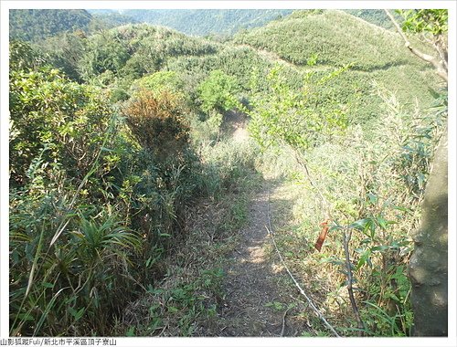 頂子寮山 (9).JPG - 頂子寮山