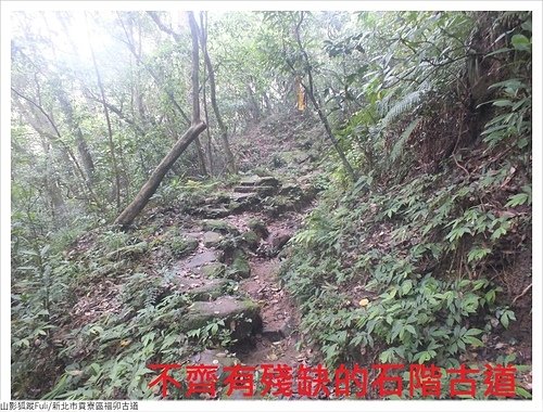 福卯古道 (32).JPG - 福卯古道