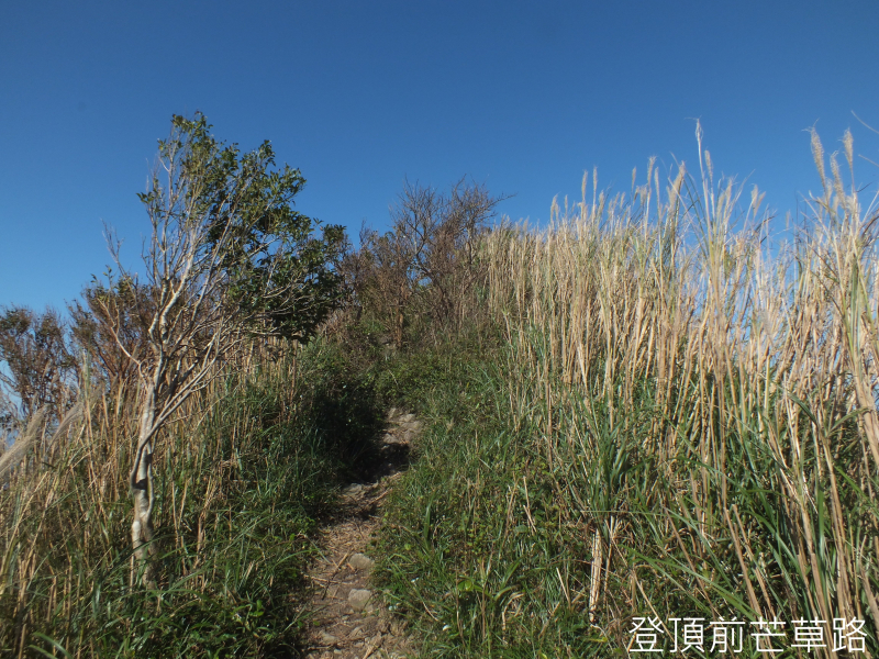 92735ead11c8cfb997f714ee2e639990.jpg