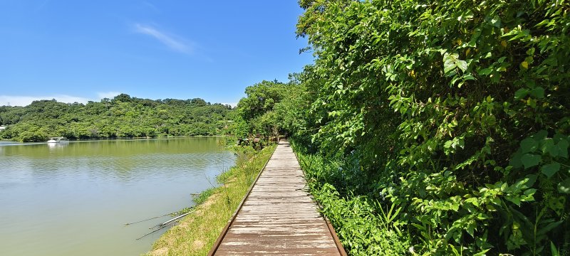 92f3ea4cf4d6932cf39d42c8789a7df7.jpg