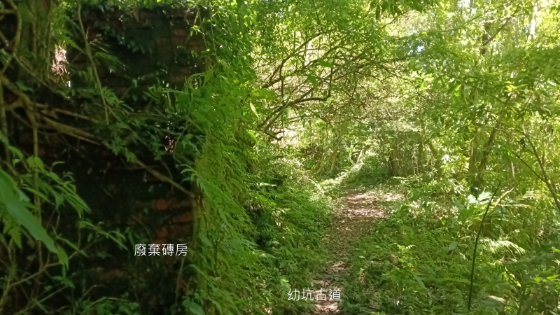 93218c3471f061e364b96dea882c2aae.png