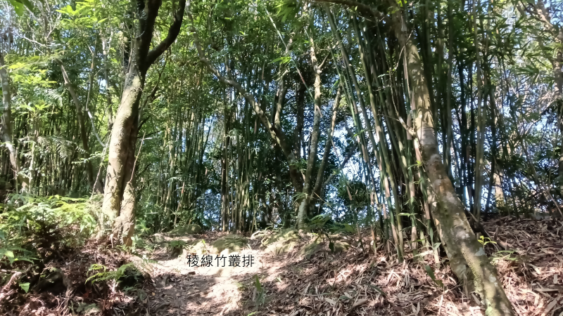 938c3ff7211563da92d62eddd5ab739e.png
