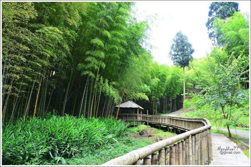 石壁木馬古道-五元二角-雲嶺之丘