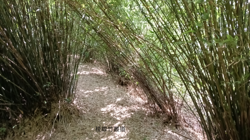939b643793ade92f2f3bafa68ad75b0c.png