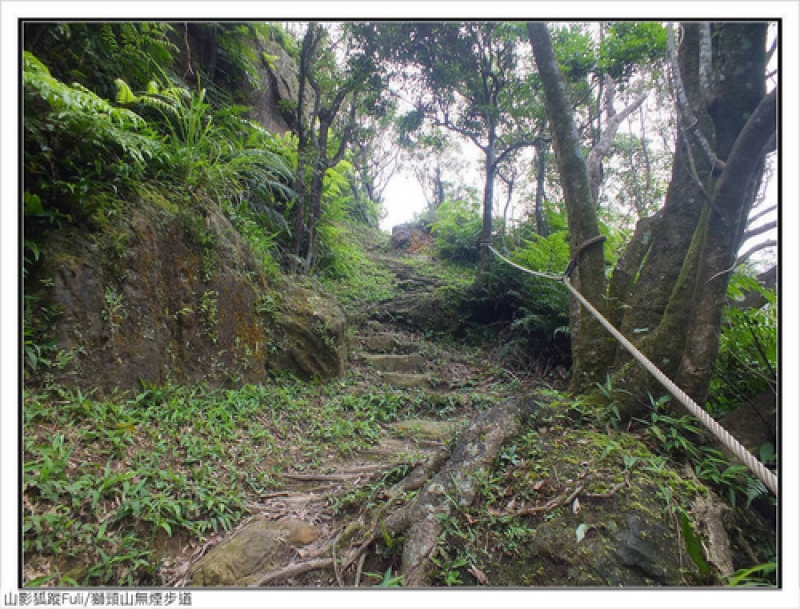 獅頭山無菸步道 (30).jpg - 獅頭山野牡丹