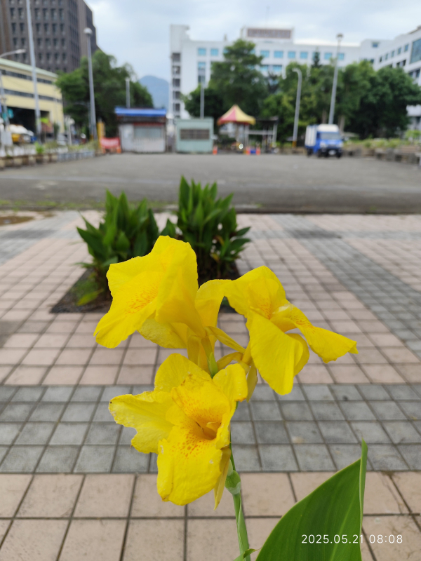 93f3faa0be44456c1631d6cde49ccbc9.jpg