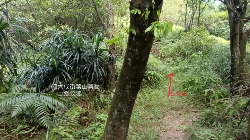 940196cada72ea097d6825db20e6e602.png