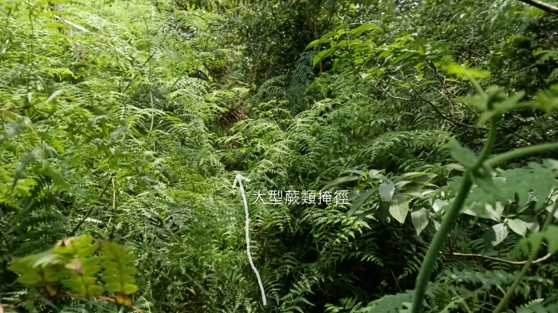 9436cb7b0d3407ffb627a8f903fa2ad9.png