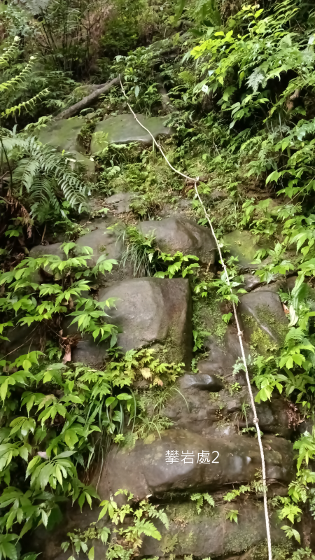 94874311b6a4108f1182dc268b982b02.png