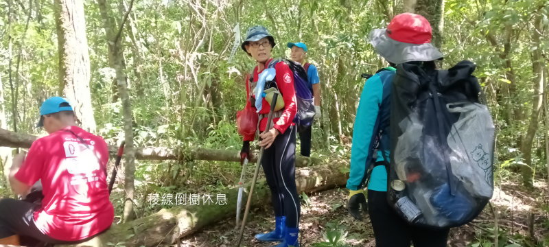 94a250792d79aa222fe670db48c840e4.png