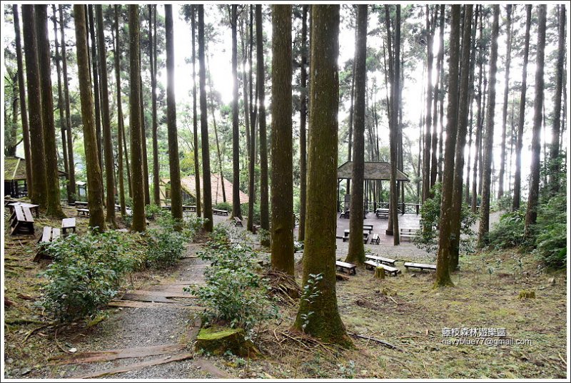 藤枝森林遊樂區