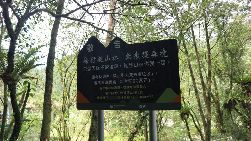 94b9db4a1c0697a8d4f64a219cfa95d8.jpg