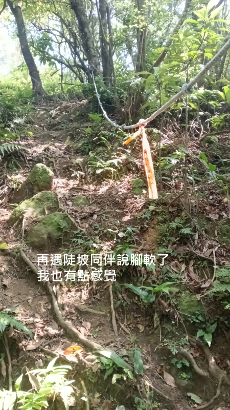 94c3096aea3ef55c945af819de86d921.png