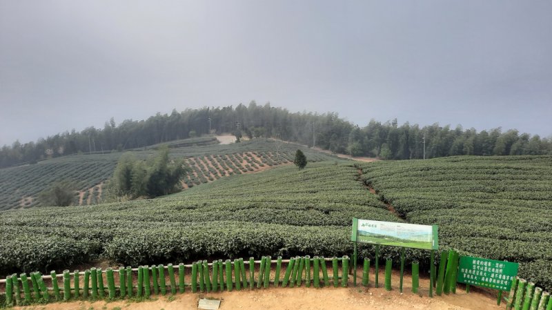 953a8a786f8813928207407193f6bce7.jpg