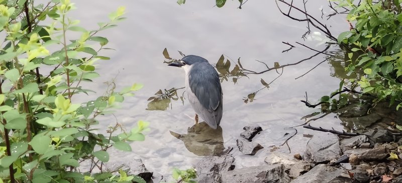 9582645a74c2151036d562d6225a9562.jpg
