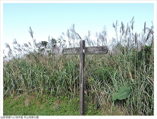 本山地質公園 (13).JPG - 本山地質公園