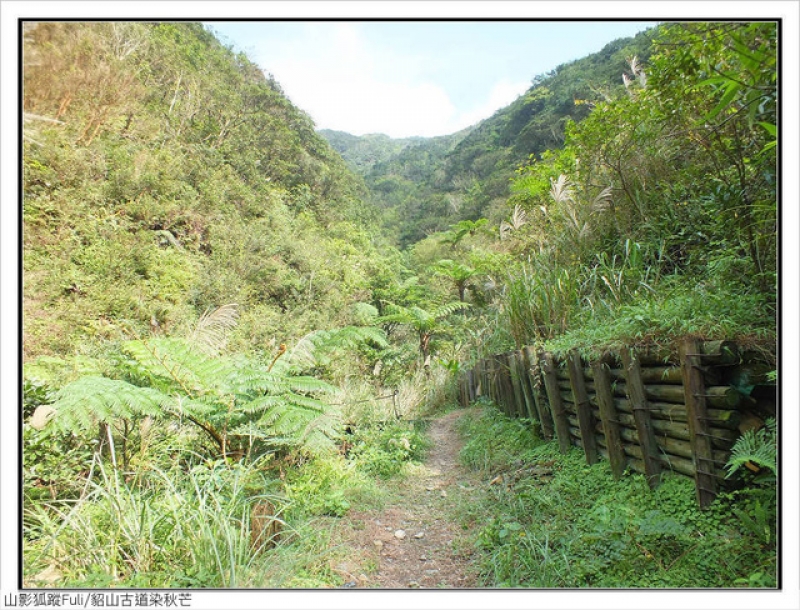 貂山古道 (20).jpg - 貂山古道