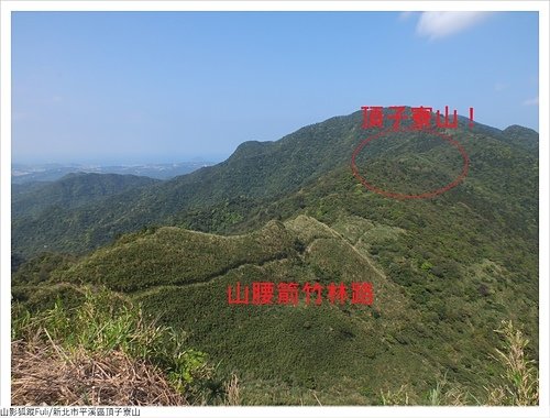 頂子寮山 (7).JPG - 頂子寮山